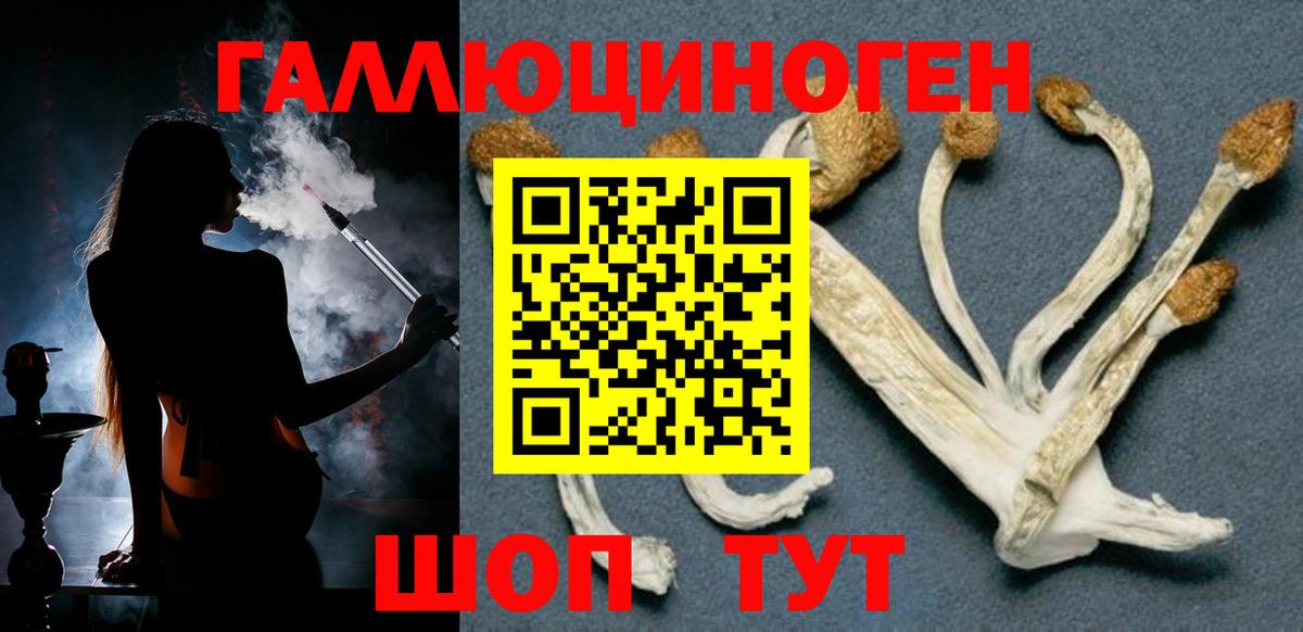 Гусиноозёрск  Галлюциногенные грибы ЛСД  Вход с VPN 