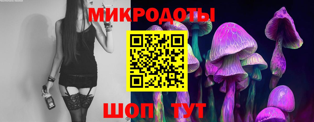 Галлюциногенные грибы GOLDEN TEACHER Гусиноозёрск