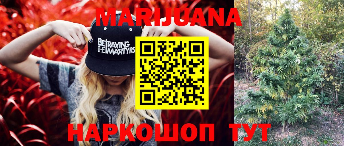 Марихуана план  МАРИХУАНА Ganja  Вход с VPN  Гусиноозёрск  Канабис тримм 